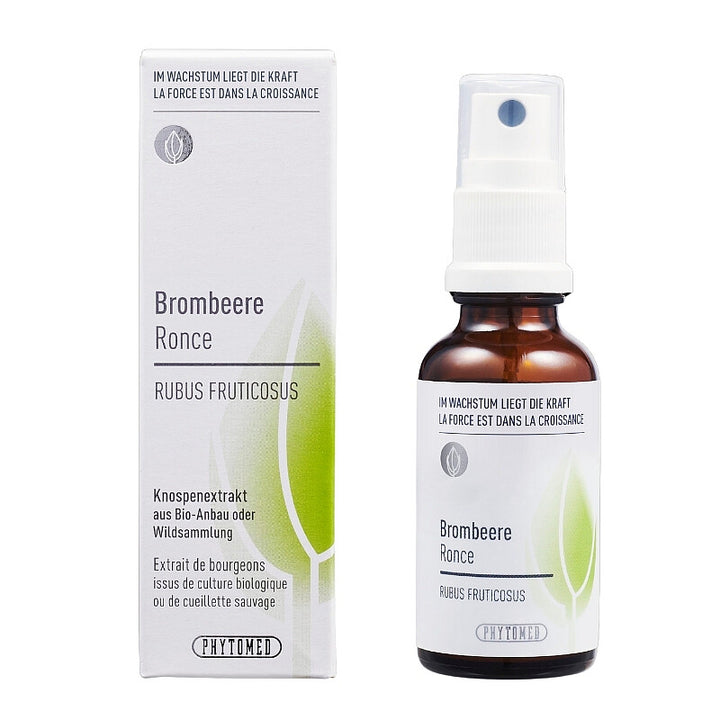 BROMBEERE Rubus Fruticosus Knospenextrakt 30ml