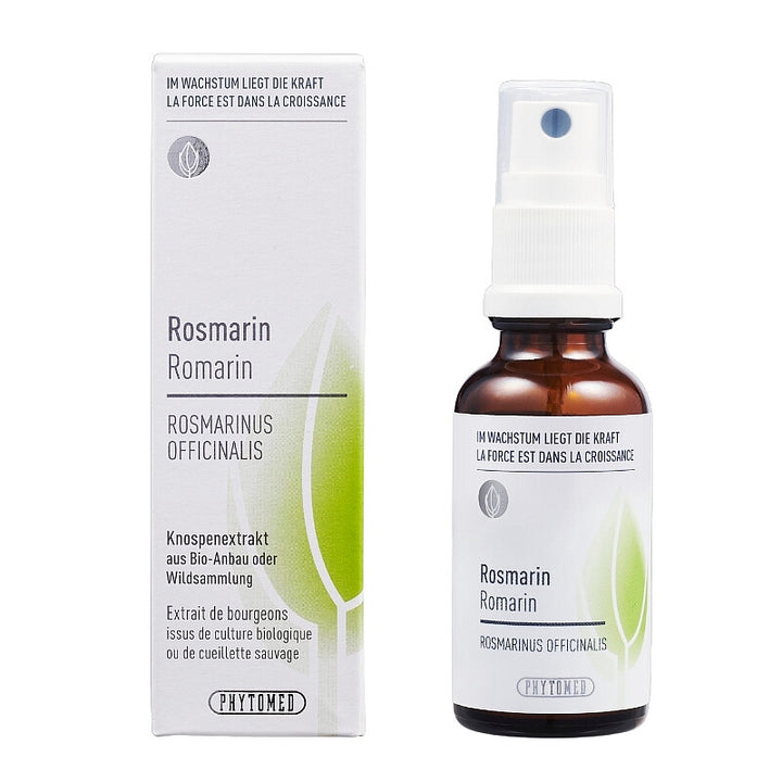 ROSMARIN Rosmarinus officinalis Knospenextrakt 30ml