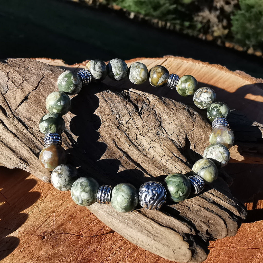 Regenwald Rhyolith - Hier & Jetzt