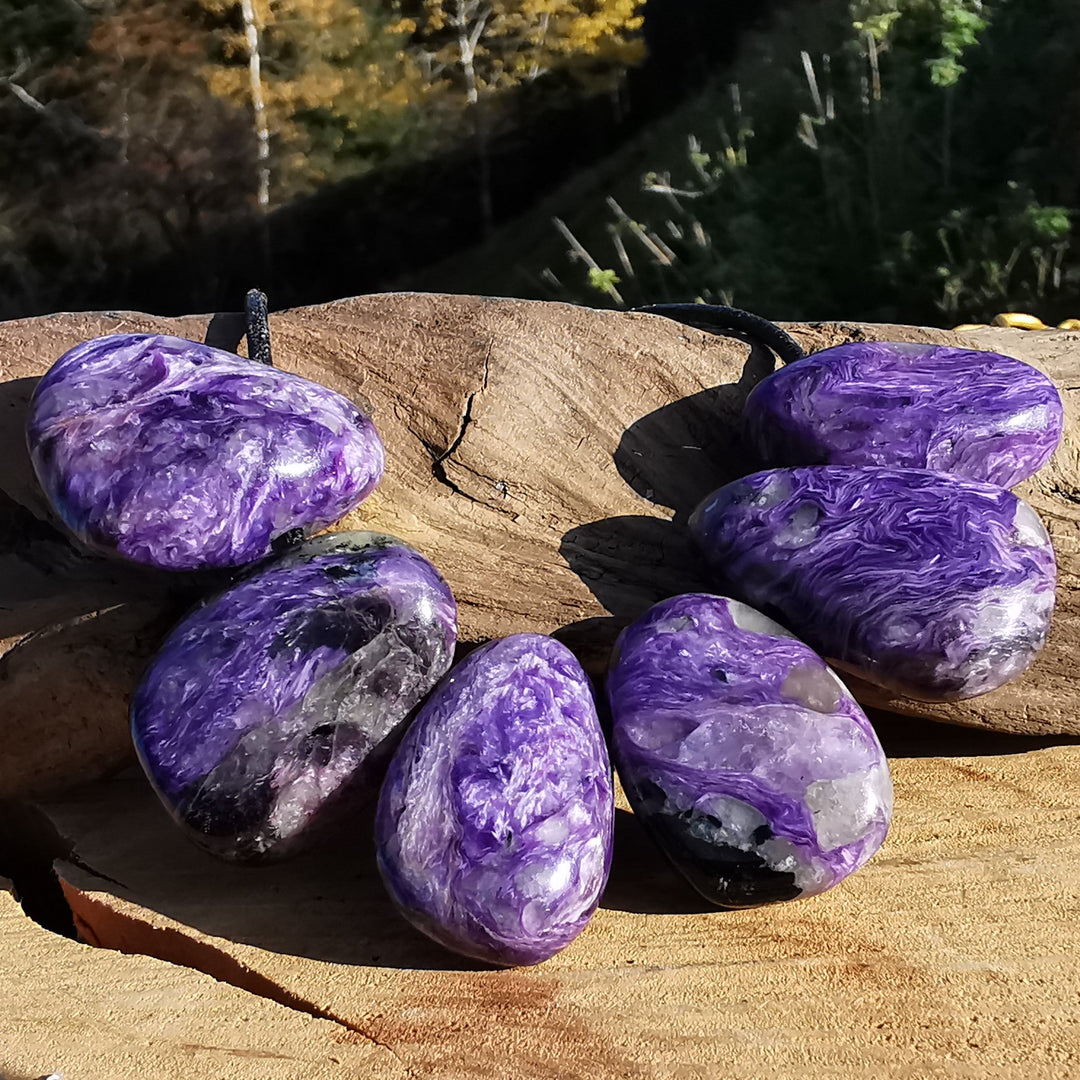 Charoit - Gelassenheit & Bedingungslose Liebe