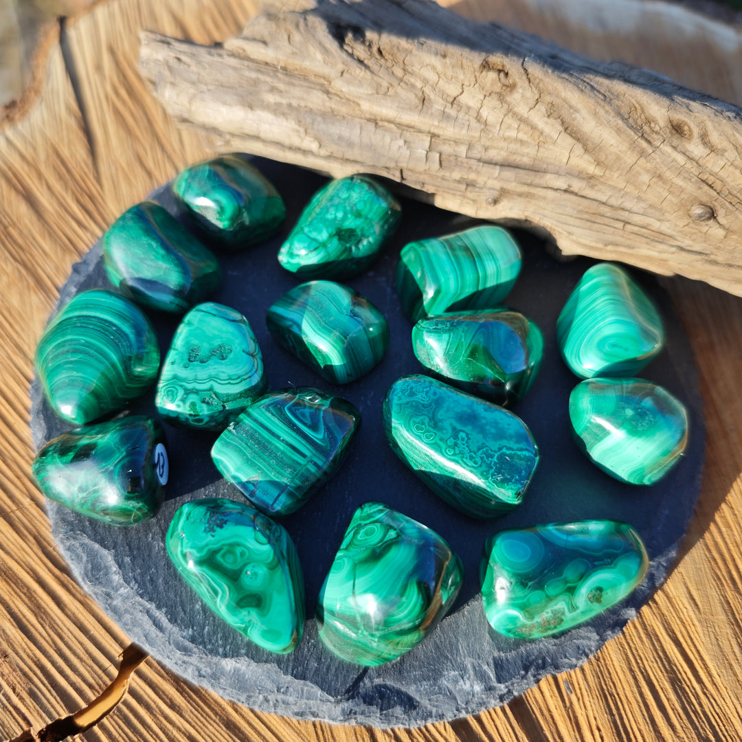 Malachit Trommelsteine (Neubeginn & Wachstum) Extraqualität 2-3cm