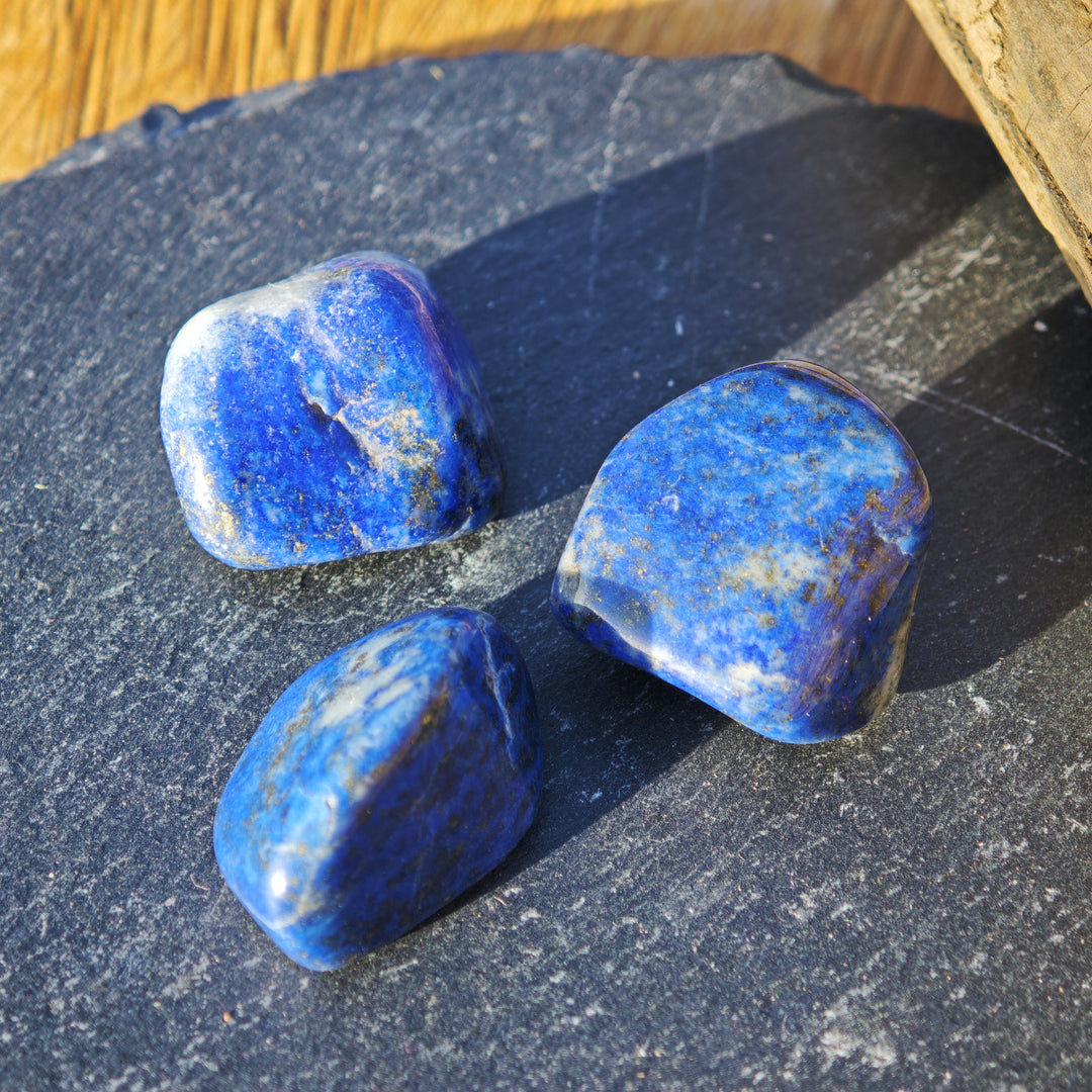 Lapis Lazuli Trommelsteine Chile A Qualität gross 2-3cm