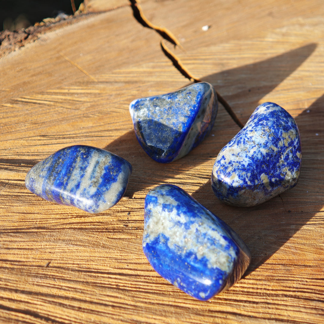 Lapis Lazuli Trommelsteine Chile B Qualität gross 3-4cm