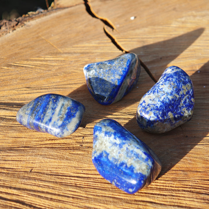 Lapis Lazuli Trommelsteine Chile B Qualität gross 3-4cm