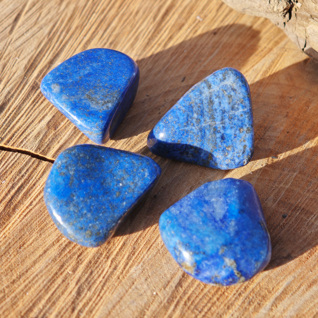 Lapis Lazuli Trommelsteine Chile AA Qualität gross 3-4cm