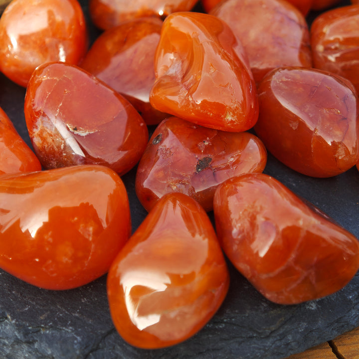 Karneol Trommelsteine (Tatkraft) 2-3cm