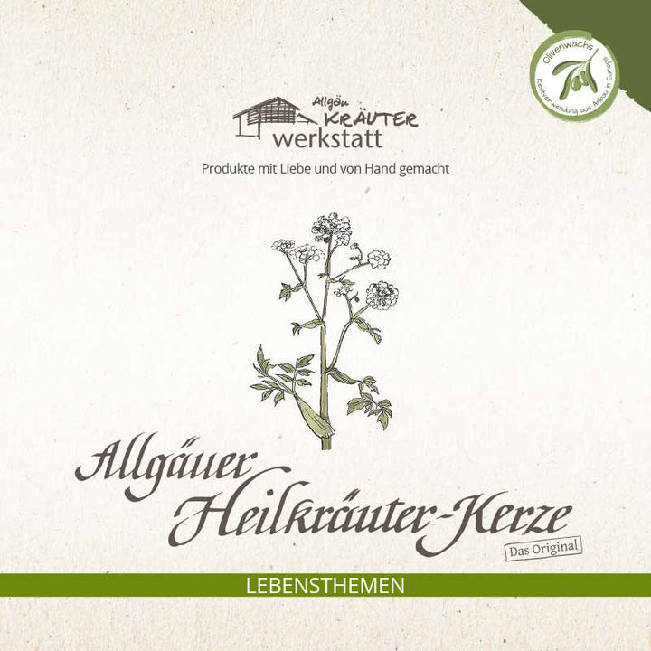 NEUBEGINN - Allgäuer Heilkräuter Kerze