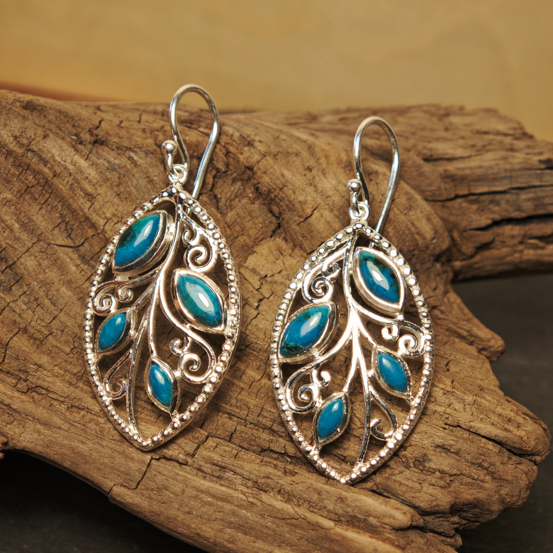 Chrysokoll Ohrhänger Sylmir Silber 925