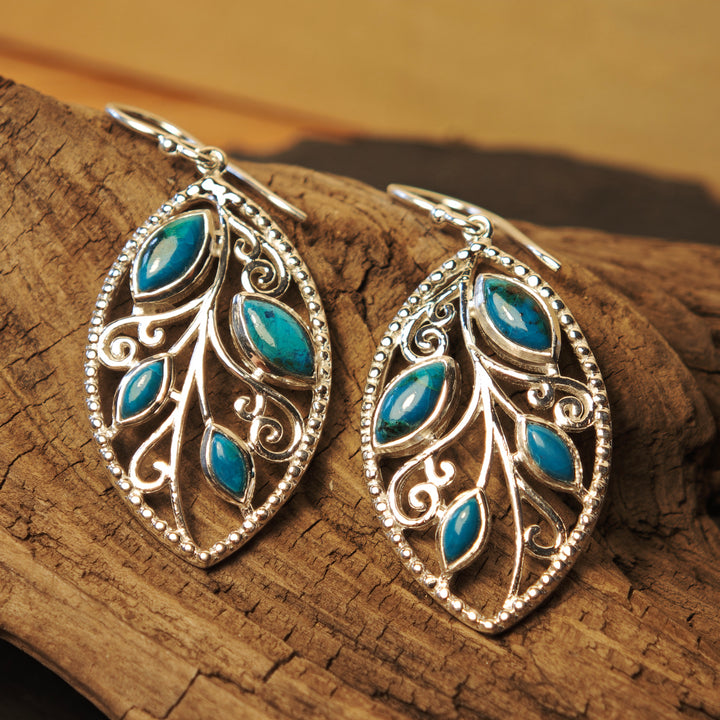 Chrysokoll Ohrhänger Sylmir Silber 925