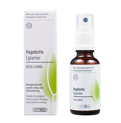 Hagebutten Knospenextrakt  Themen: Immunsystem Stärkung, Atemwege, Halsschmerzen