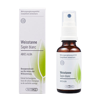 Weisstanne Knospenextrakt Themen: Wachstumsstörungen, Knochen & Knorpelaufbau, Knochenbrüche, Zahnfleischentzündungen, Karies, Zahnwechsel