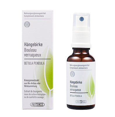 Hängebirke Knospenextrakt Themen: Wachstumsschmerzen, Konzentrationsschwäche, ADHS, Osteoporose, rheumatische Beschwerden