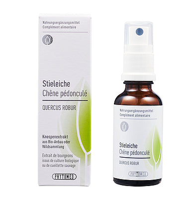 Stieleiche Knospenextrakt Themen: Erschöpfung, Burn-out-Syndrom, Herpes, Well-Aging des Mannes, Testosteronmangel, Potenzprobleme