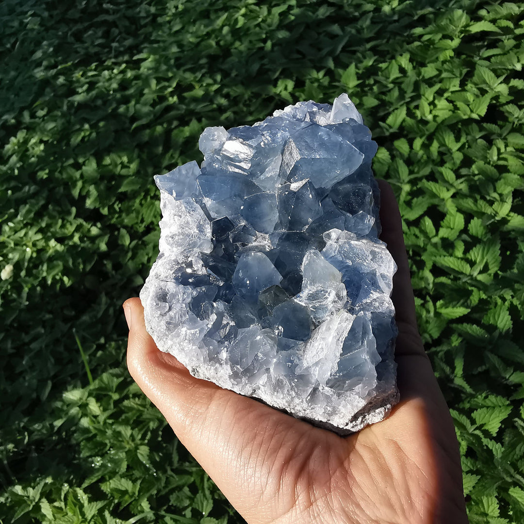 Coelestin Drusenstück TOP 1.3kg